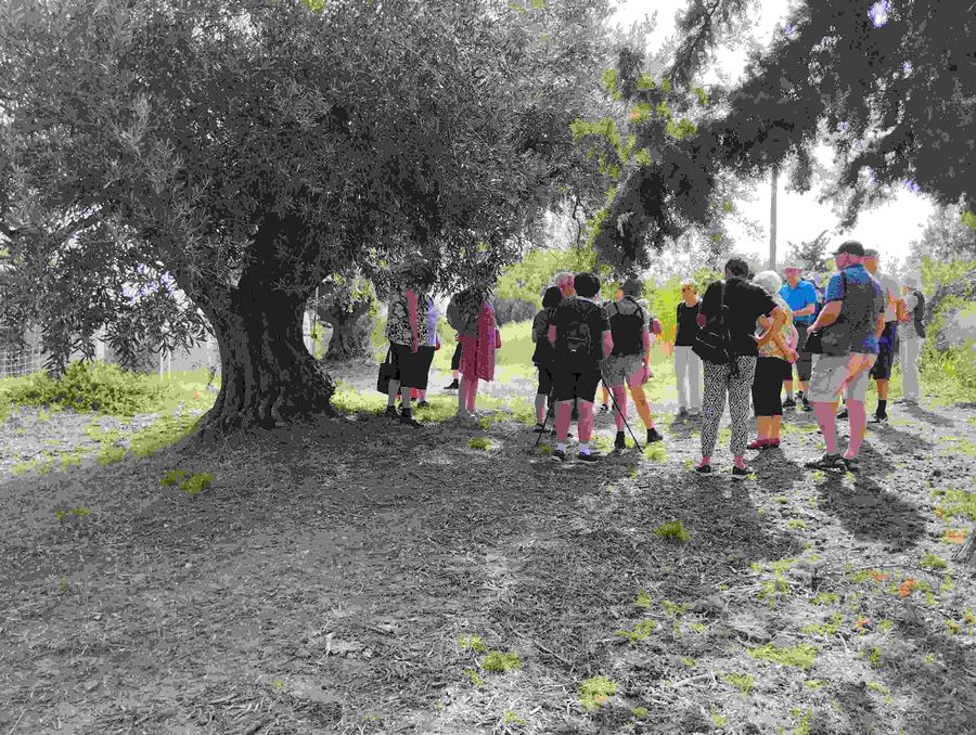 1694866298930 (1).jpg